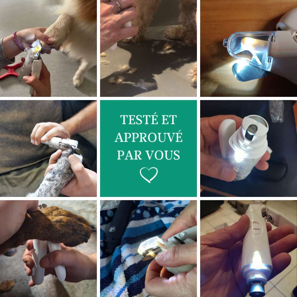 Coupe-griffe 2-en-1 MOOPLI®